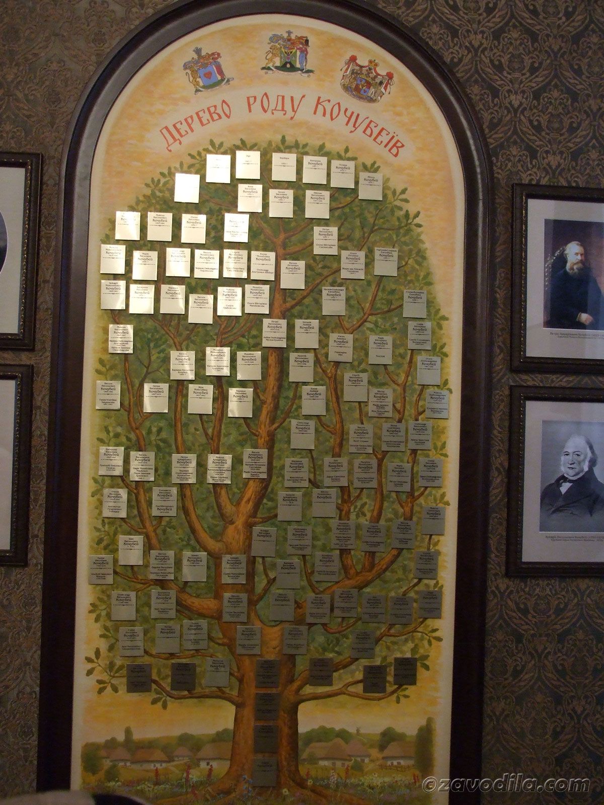 родовое дерево семьи Кочубеев, которые также проживали в этом шикарном помещении.