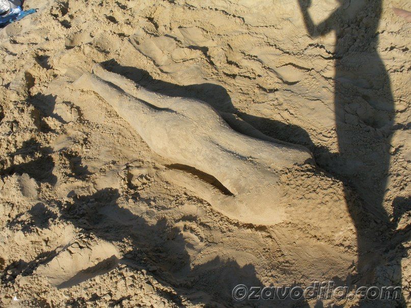 скульптуры из песка на пляже
