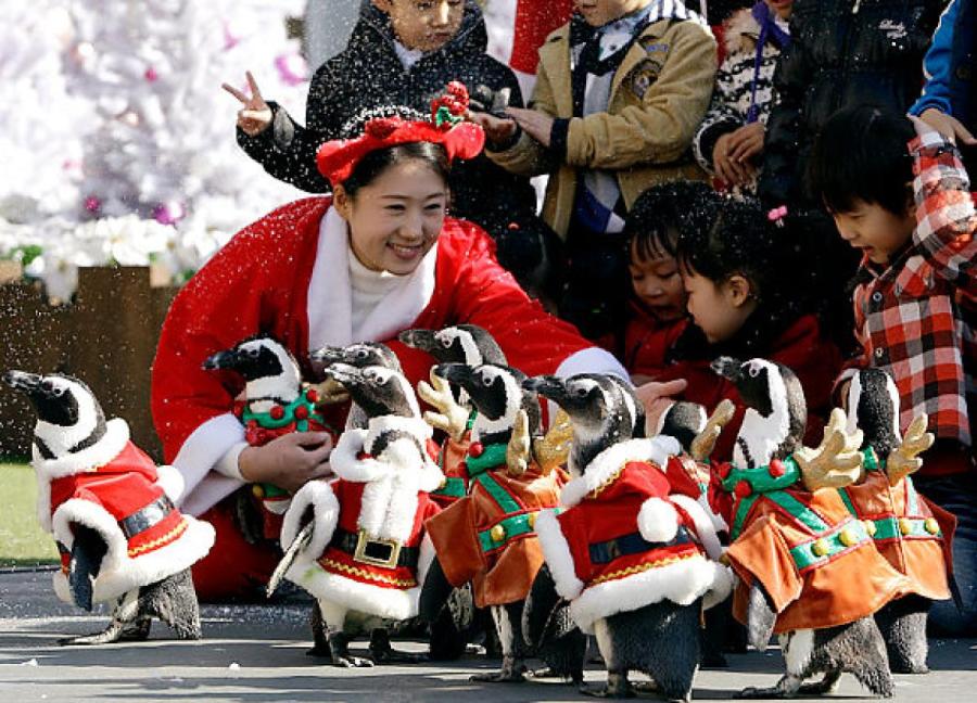 Самые необычные новогодние традиции Корея