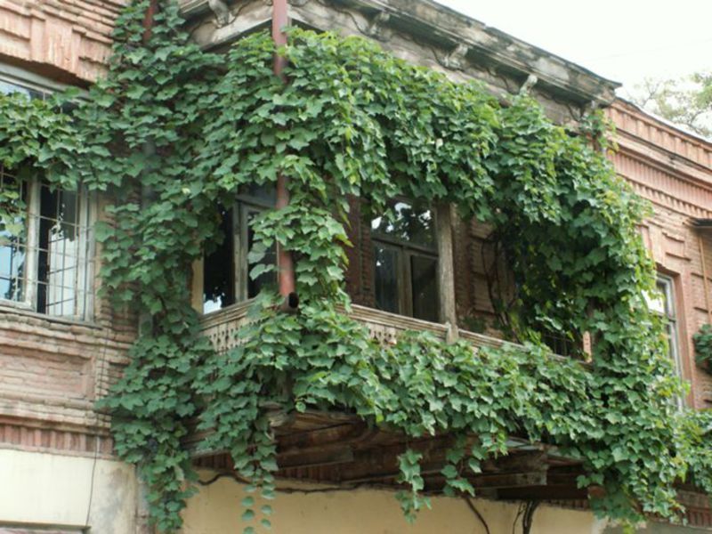 Грузія, Тбілісі, фото